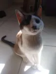 Thomas