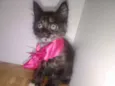 Milu