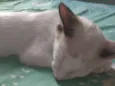 -------