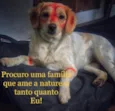 Lili