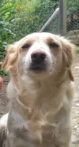 Lili