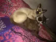 Princesa