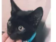 Billy