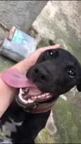 Pretinha