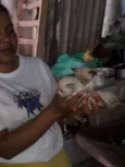 Gatos