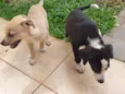 Astro