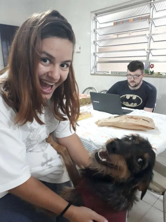 Cachorro ra a SRD idade 1 ano nome Sofia