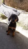 Charles