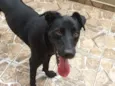 Nina