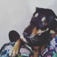 Nina