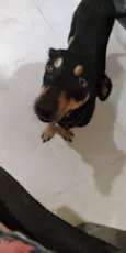 Nina