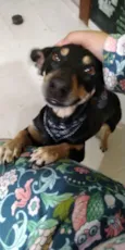 Nina