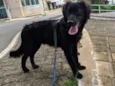 JAKE