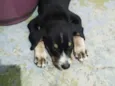 Marley
