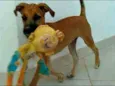 Scooby
