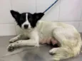 Lupita 