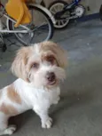 Marley