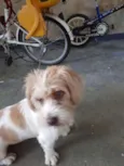 Marley
