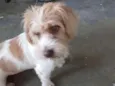 Marley