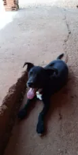Neguinha