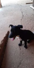 Neguinha 