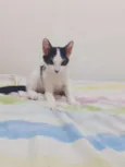 Jimmy