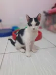 Jimmy