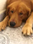 Charlie