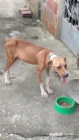 Marley