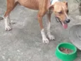 Marley