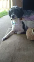 Matilda