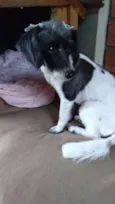 Matilda