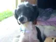 Matilda