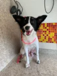 Lupita 