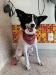 Lupita 