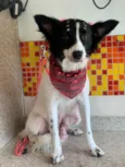 Lupita 