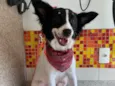 Lupita 