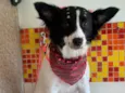 Lupita 