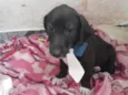 Mentirinha bebe