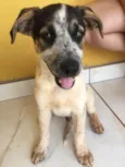 Caio