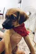 Lili