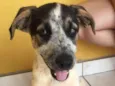 Caio