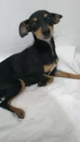 Não sei 