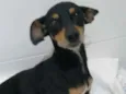 Não sei 