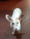 João (dado por mim)