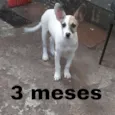 João (dado por mim)