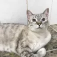 Manú (Manoela)