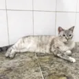Manú (Manoela)