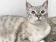 Manú (Manoela)