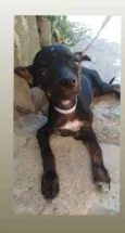 Não há nome